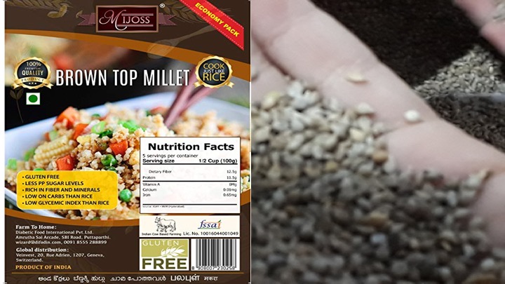 Brown top Millet- the lesser known millet 